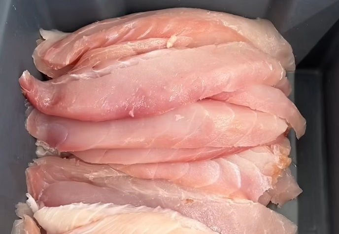 Watch Manthos professionally fillet and prepare our fish. Soo fresh!